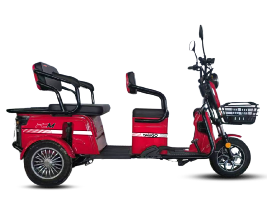 FCM TWINGO resmi