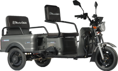 MOTOLUX FAYTON FX 44 resmi
