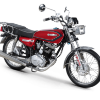 KUBA ÇİTA 100R resmi